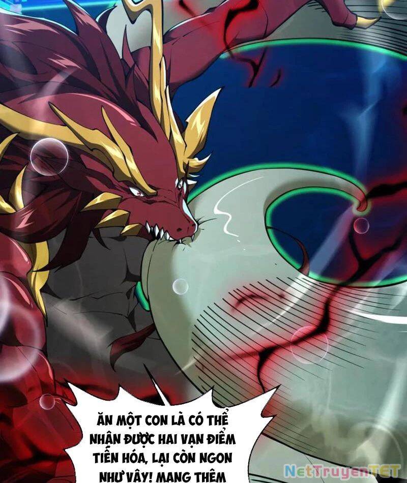 Linh Khí Khôi Phục: Từ Cá Chép Tiến Hoá Thành Thần Long - Chapter 40 - Page 19