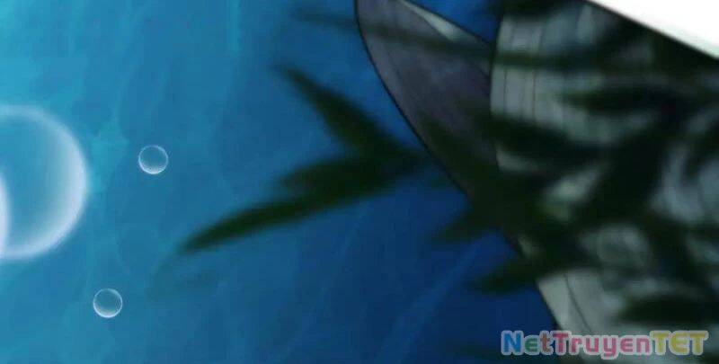 Linh Khí Khôi Phục: Từ Cá Chép Tiến Hoá Thành Thần Long - Chapter 40 - Page 21