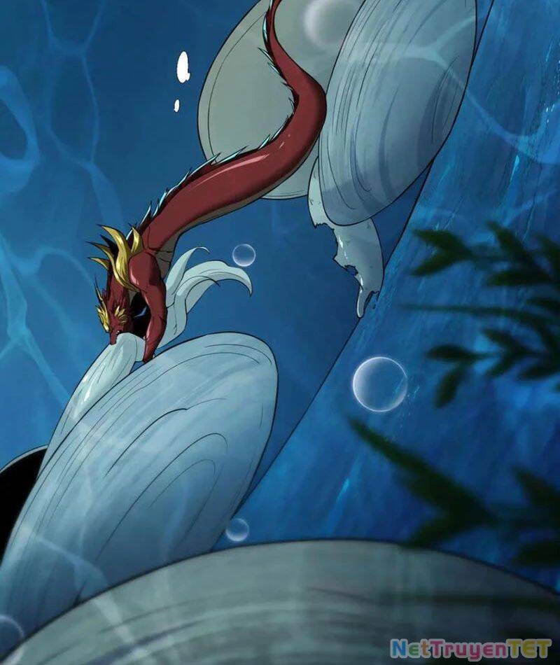 Linh Khí Khôi Phục: Từ Cá Chép Tiến Hoá Thành Thần Long - Chapter 40 - Page 23