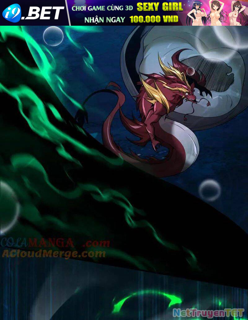 Linh Khí Khôi Phục: Từ Cá Chép Tiến Hoá Thành Thần Long - Chapter 40 - Page 26