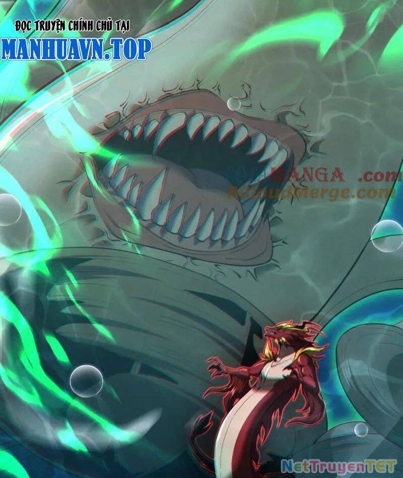 Linh Khí Khôi Phục: Từ Cá Chép Tiến Hoá Thành Thần Long - Chapter 40 - Page 29