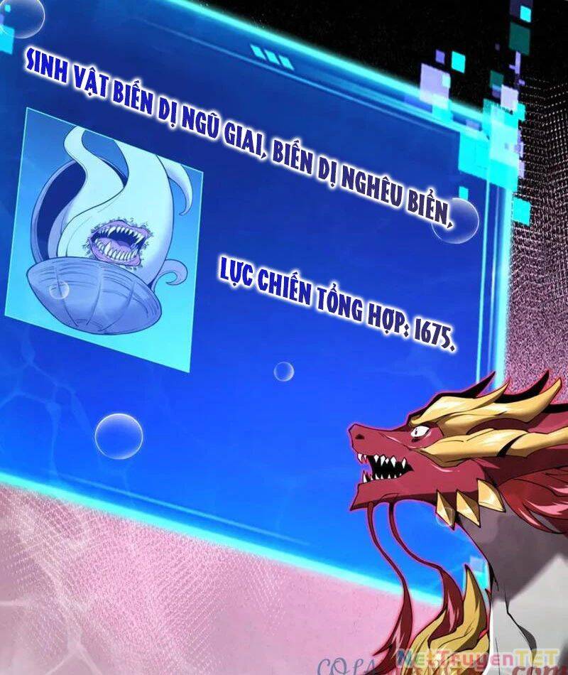 Linh Khí Khôi Phục: Từ Cá Chép Tiến Hoá Thành Thần Long - Chapter 40 - Page 31