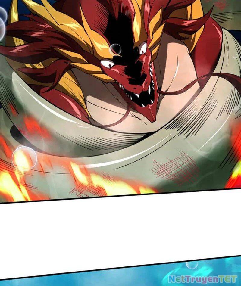 Linh Khí Khôi Phục: Từ Cá Chép Tiến Hoá Thành Thần Long - Chapter 40 - Page 41