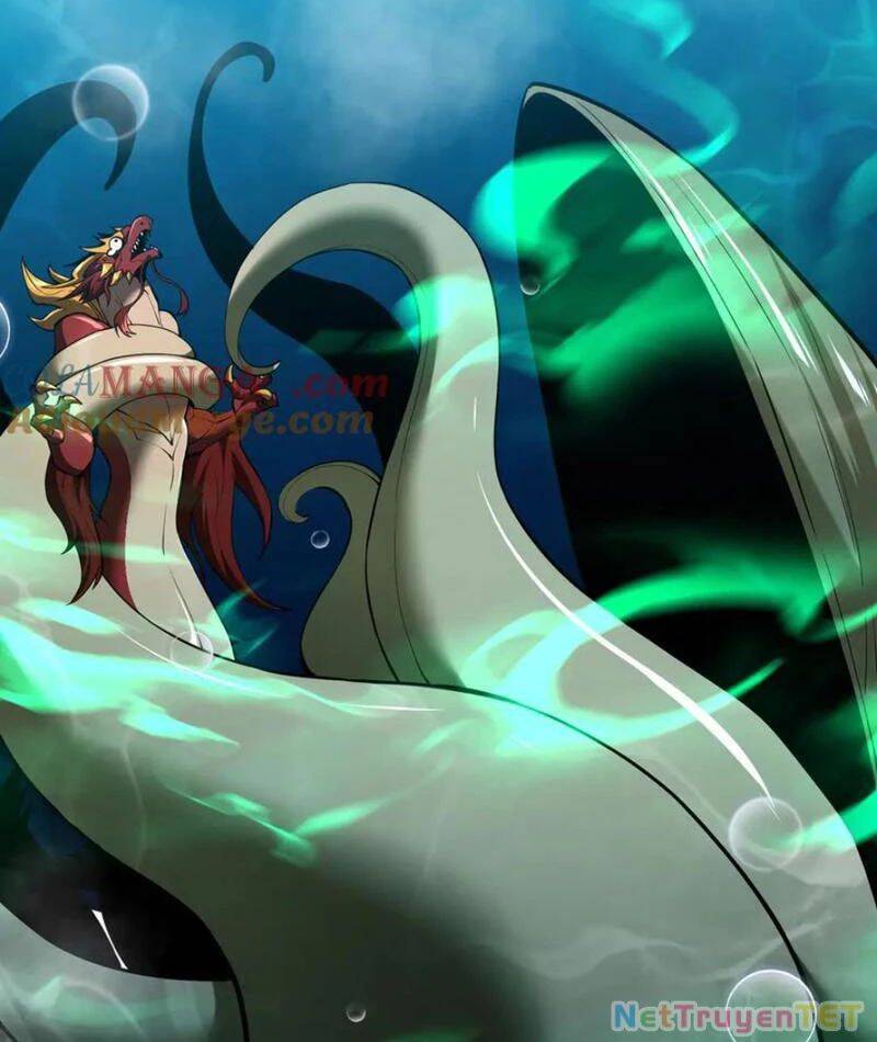 Linh Khí Khôi Phục: Từ Cá Chép Tiến Hoá Thành Thần Long - Chapter 40 - Page 42