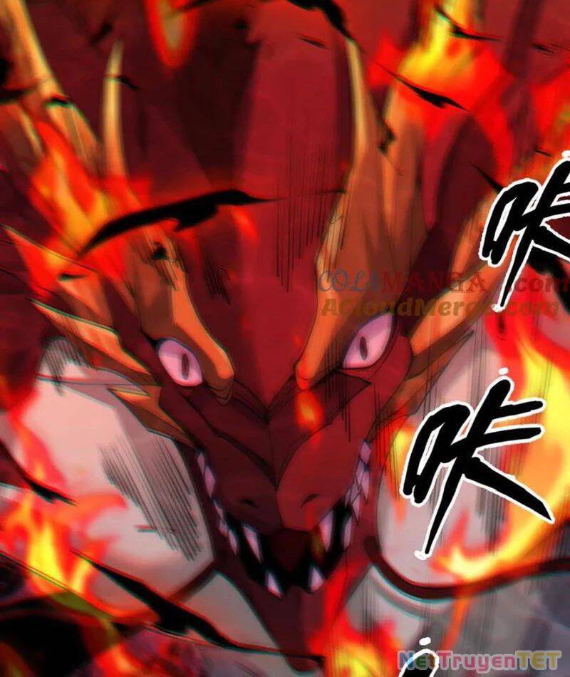 Linh Khí Khôi Phục: Từ Cá Chép Tiến Hoá Thành Thần Long - Chapter 40 - Page 5