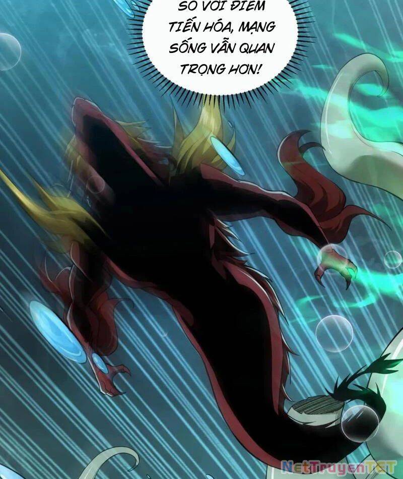 Linh Khí Khôi Phục: Từ Cá Chép Tiến Hoá Thành Thần Long - Chapter 40 - Page 51