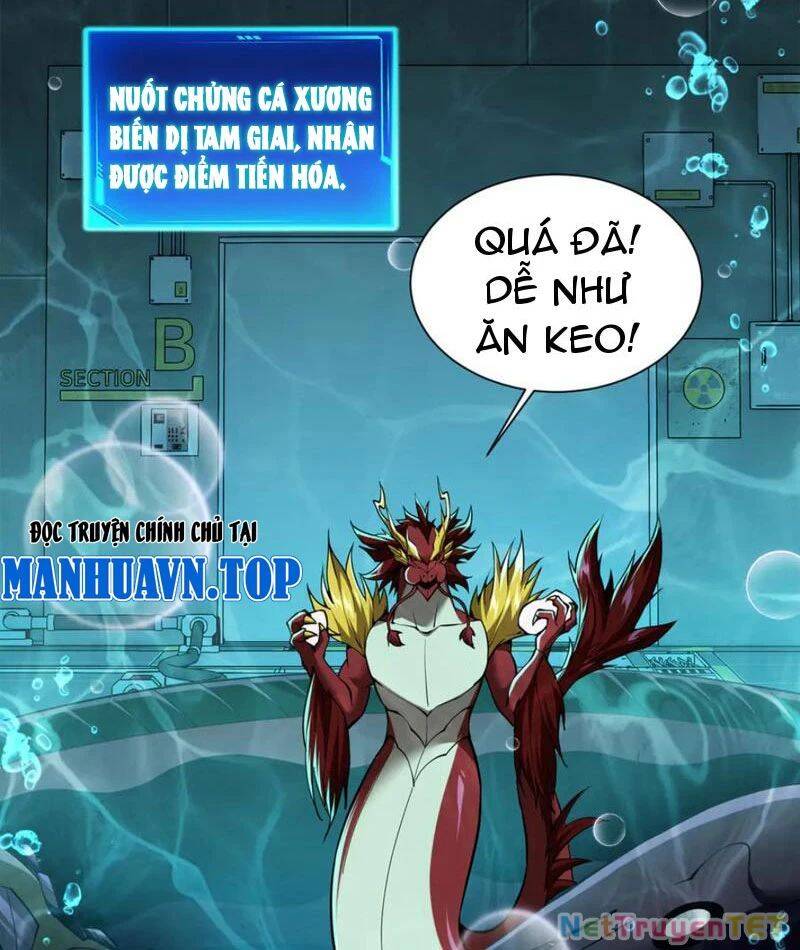 Linh Khí Khôi Phục: Từ Cá Chép Tiến Hoá Thành Thần Long - Chapter 40 - Page 91