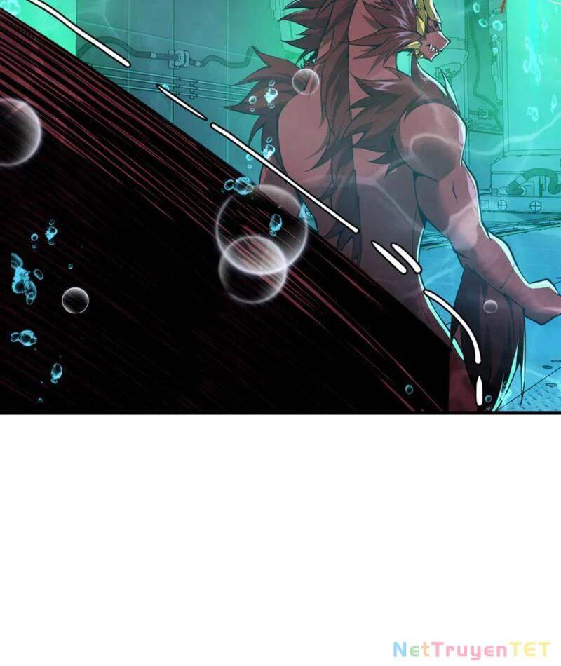 Linh Khí Khôi Phục: Từ Cá Chép Tiến Hoá Thành Thần Long - Chapter 40 - Page 97