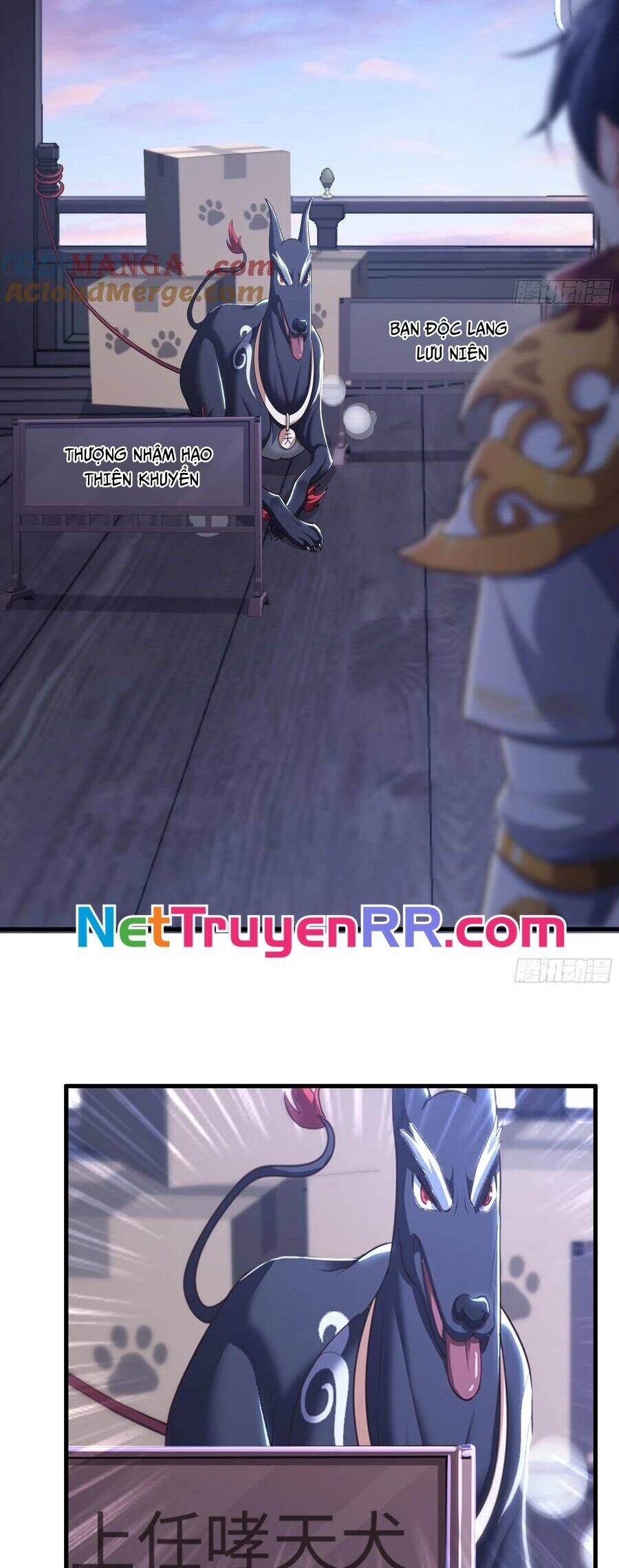 Trụ Vương Tái Sinh Không Muốn Làm Đại Phản Diện - Chapter 80 - Page 10