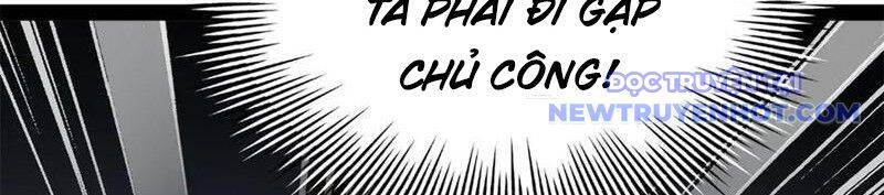 Chàng Rể Mạnh Nhất Lịch Sử - Chapter 263 - Page 103