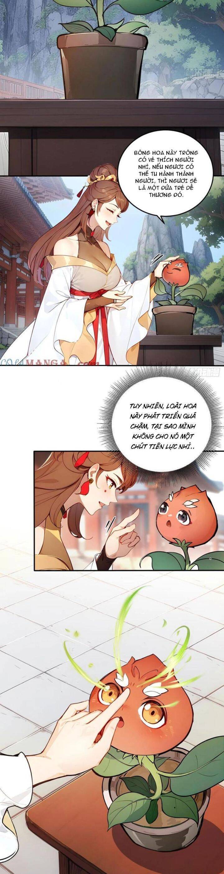 Ngươi Làm Bộ Tu Luyện Đi! - Chapter 56 - Page 7