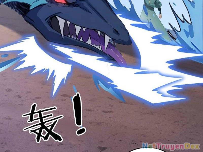 Ngươi Làm Bộ Tu Luyện Đi! - Chapter 80 - Page 24