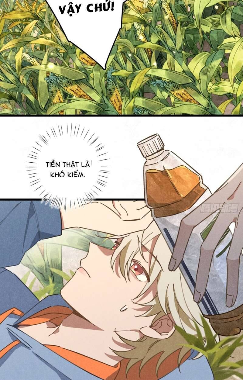 Tôi Không Cùng Anh Đến Vùng Đất Bắp Ngô Đâu! - Chapter 19 - Page 15