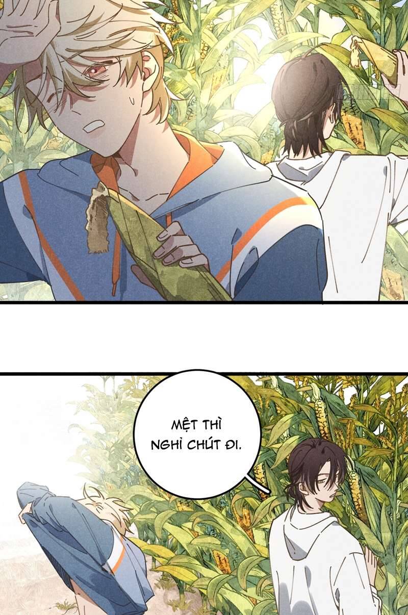 Tôi Không Cùng Anh Đến Vùng Đất Bắp Ngô Đâu! - Chapter 19 - Page 30