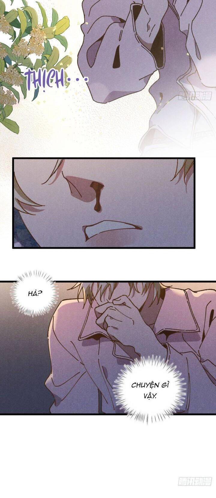 Tôi Không Cùng Anh Đến Vùng Đất Bắp Ngô Đâu! - Chapter 34 - Page 21