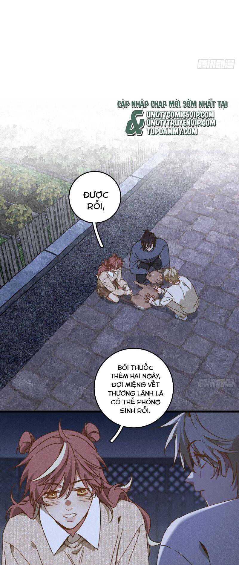 Tôi Không Cùng Anh Đến Vùng Đất Bắp Ngô Đâu! - Chapter 36 - Page 17