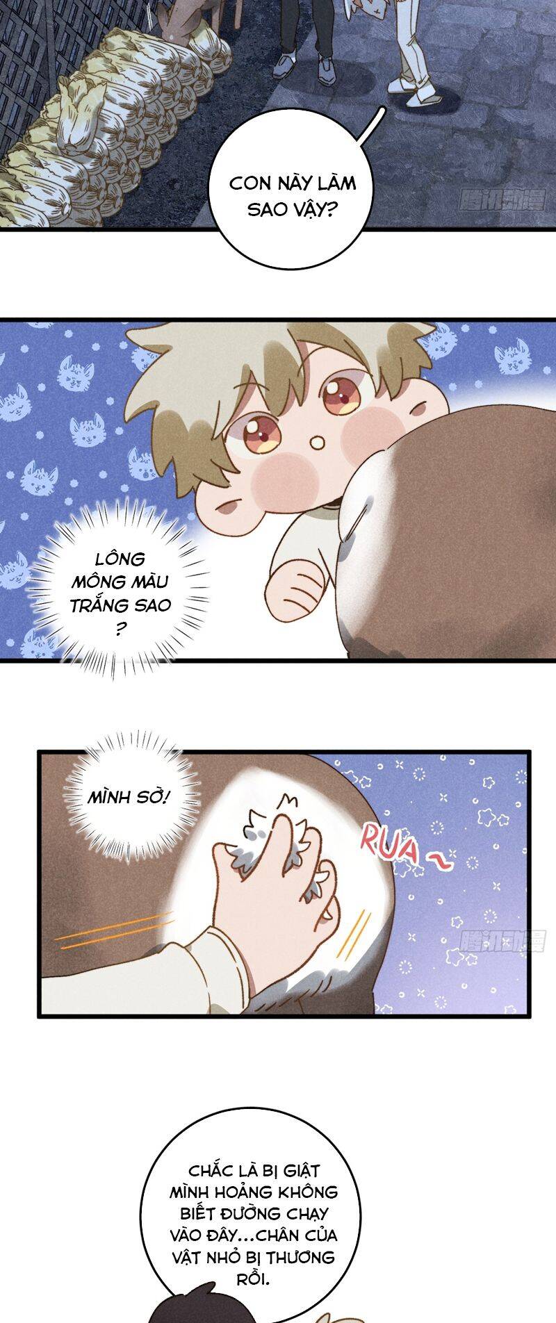 Tôi Không Cùng Anh Đến Vùng Đất Bắp Ngô Đâu! - Chapter 36 - Page 5