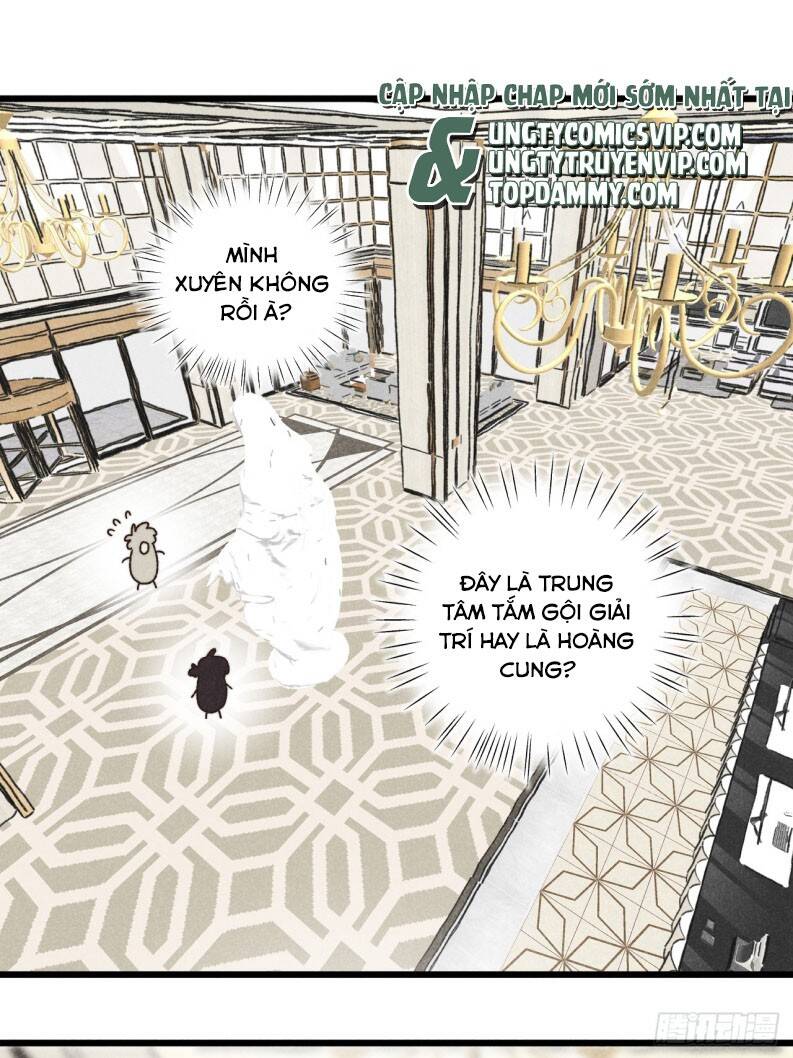 Tôi Không Cùng Anh Đến Vùng Đất Bắp Ngô Đâu! - Chapter 38 - Page 8