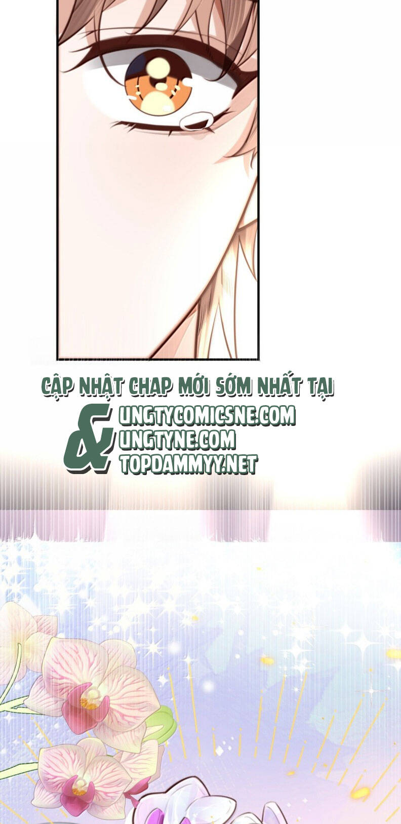 Tổng Tài Định Chế Tư Nhân - Chapter 123 - Page 31