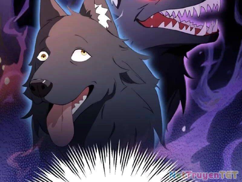 Hoá Ra Ta Đã Vô Địch Từ Lâu - Chapter 234 - Page 29