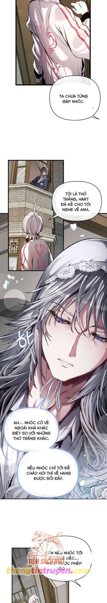 Thỏ Trắng Ở Xứ Sở Thần Tiên - Chapter 3 - Page 17