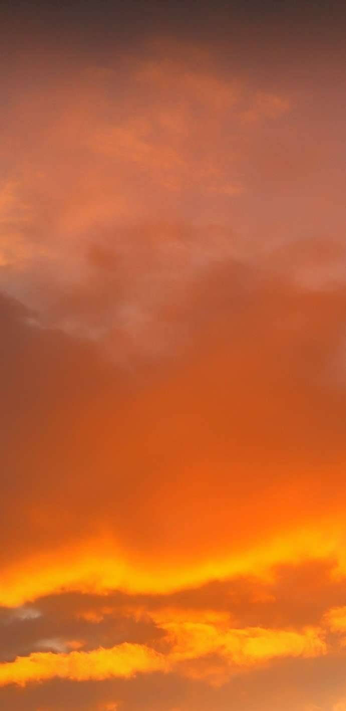 Lời Thú Nhận Của Chúa Tể Bóng Tối - Chapter 114 - Page 11