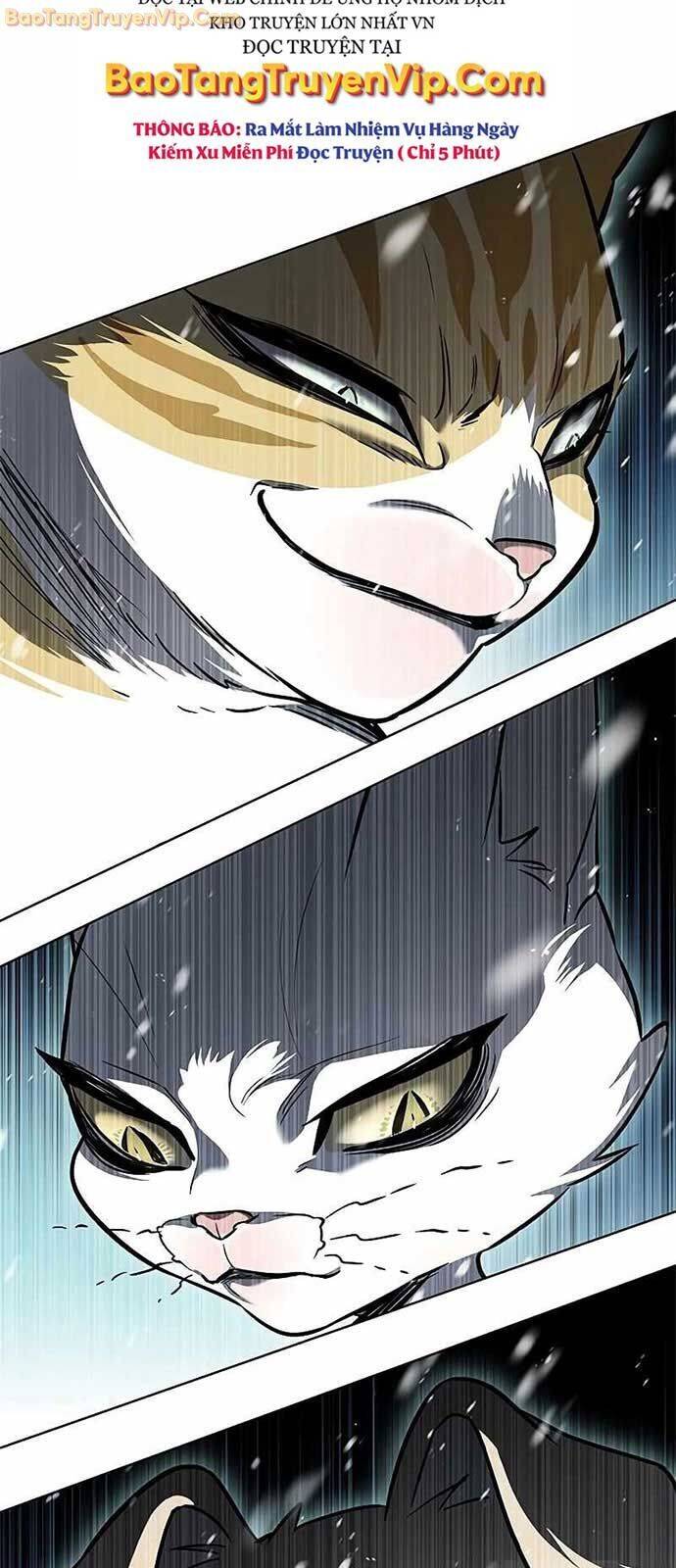 Hoá Thân Thành Mèo - Chapter 334 - Page 105