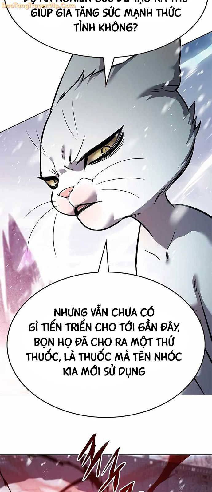 Hoá Thân Thành Mèo - Chapter 334 - Page 5