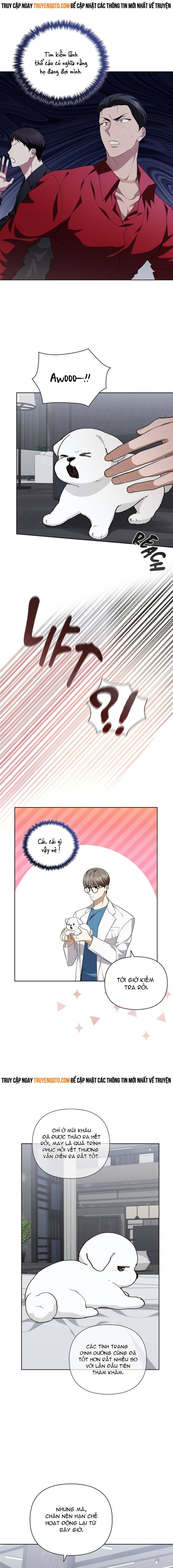 Đừng Đùa Với Cún Con - Chapter 13 - Page 12