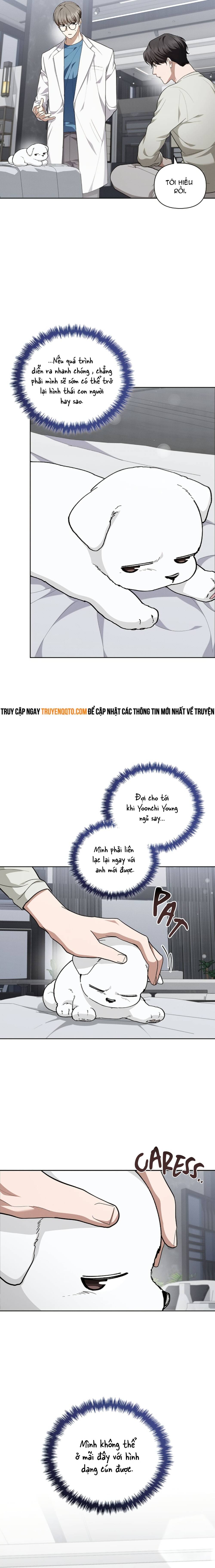 Đừng Đùa Với Cún Con - Chapter 13 - Page 13