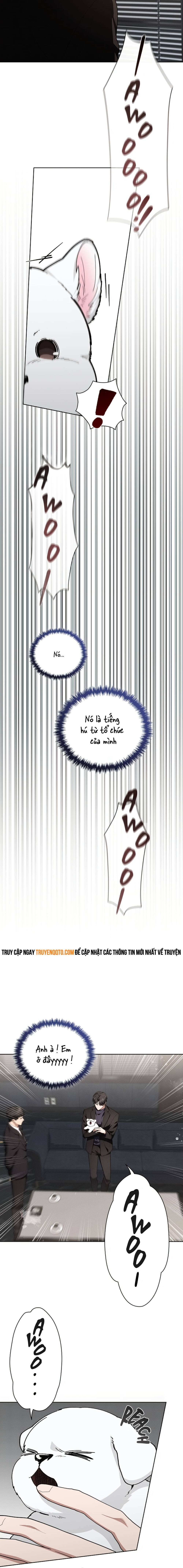 Đừng Đùa Với Cún Con - Chapter 13 - Page 9