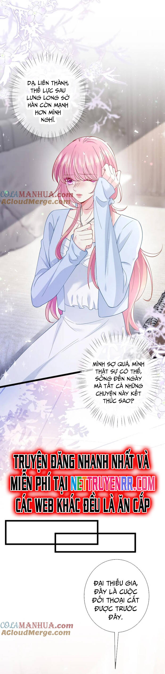 Danh Môn Chí Ái - Chapter 488 - Page 22