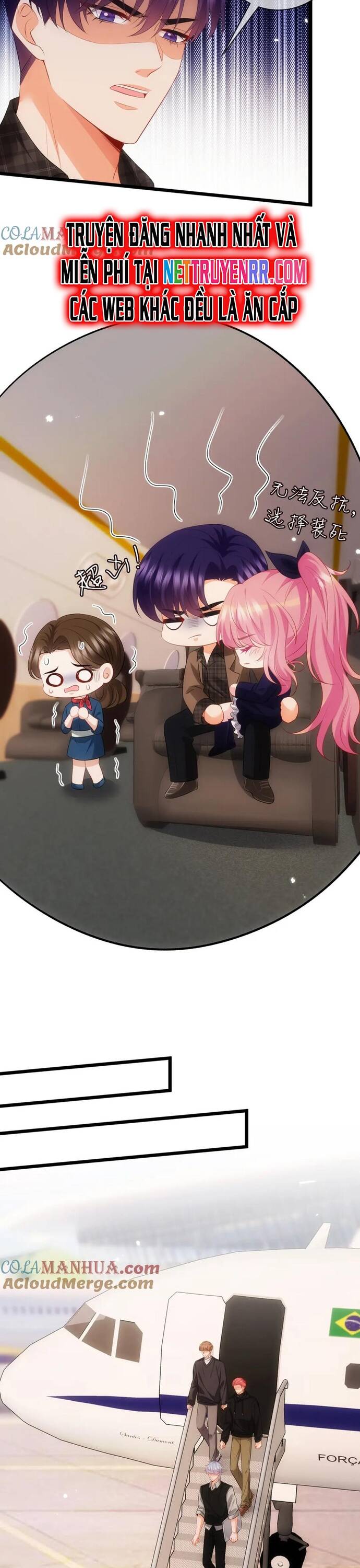 Danh Môn Chí Ái - Chapter 498 - Page 12