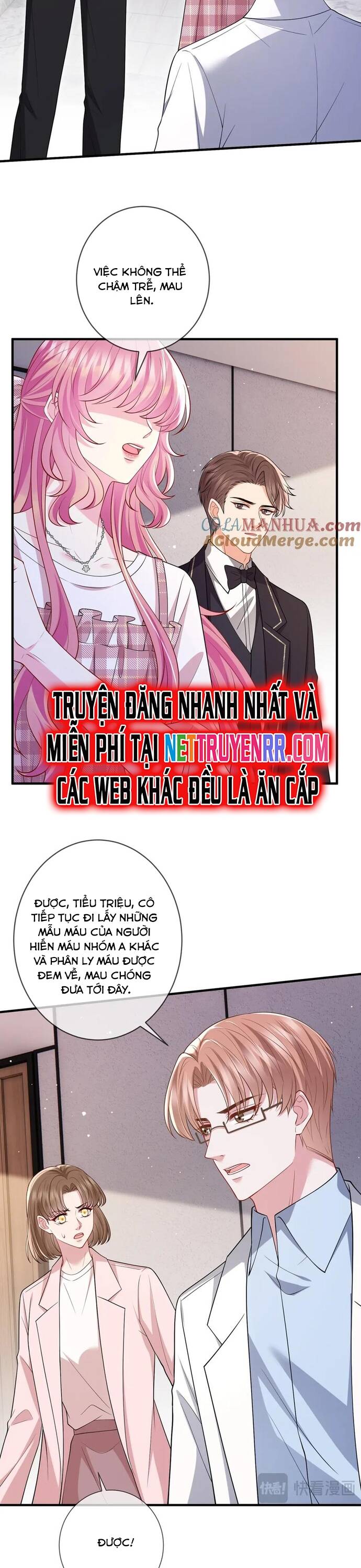 Danh Môn Chí Ái - Chapter 501 - Page 12