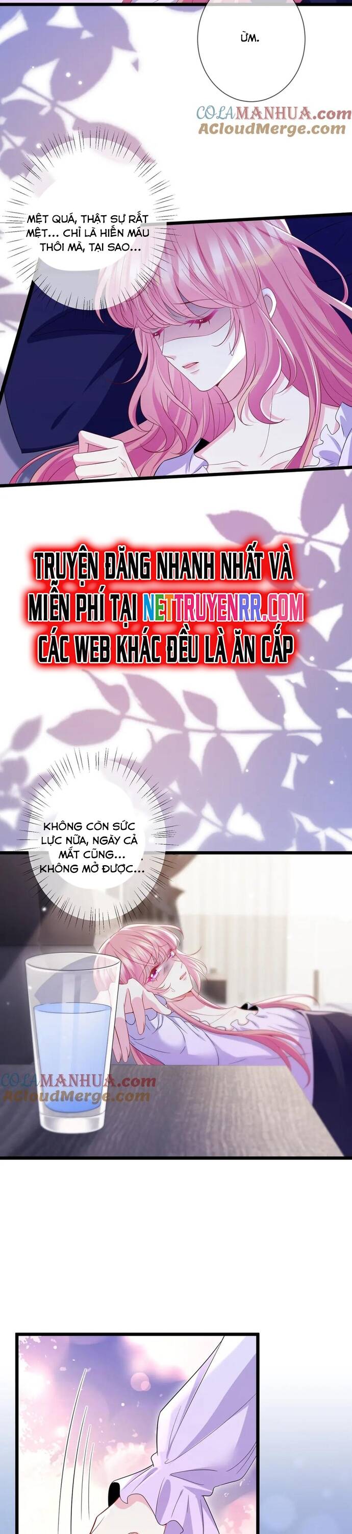 Danh Môn Chí Ái - Chapter 501 - Page 15