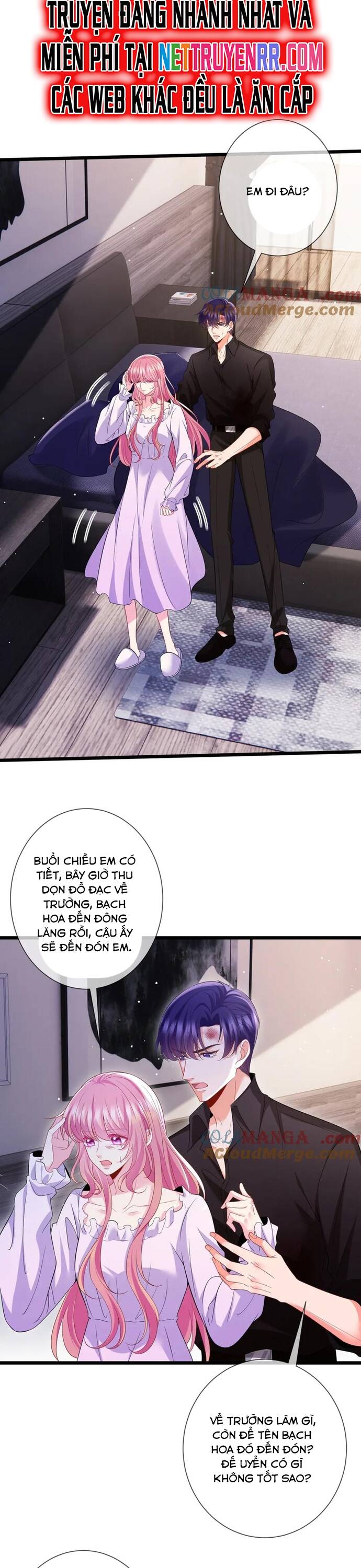 Danh Môn Chí Ái - Chapter 502 - Page 5