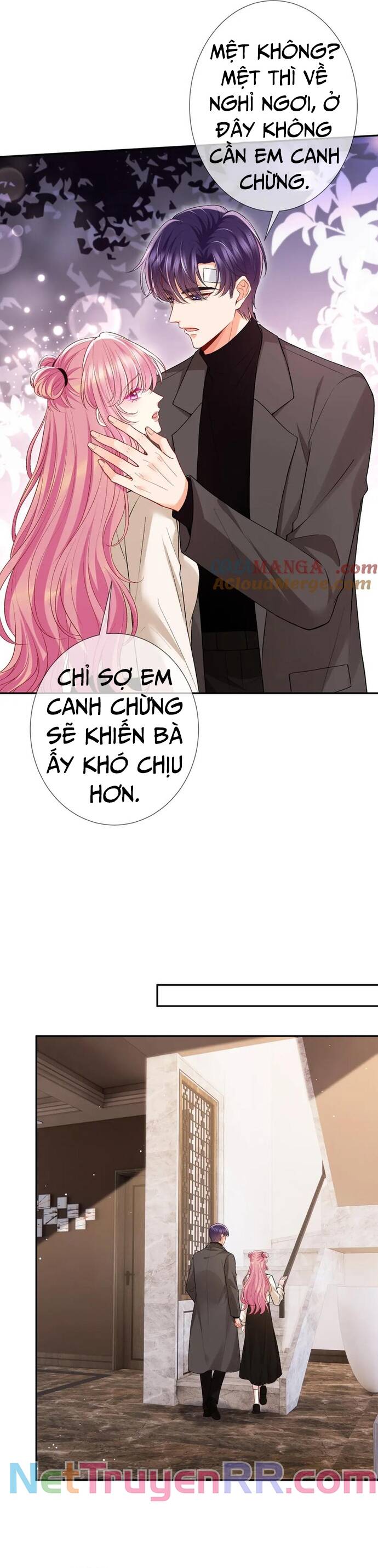 Danh Môn Chí Ái - Chapter 504 - Page 10