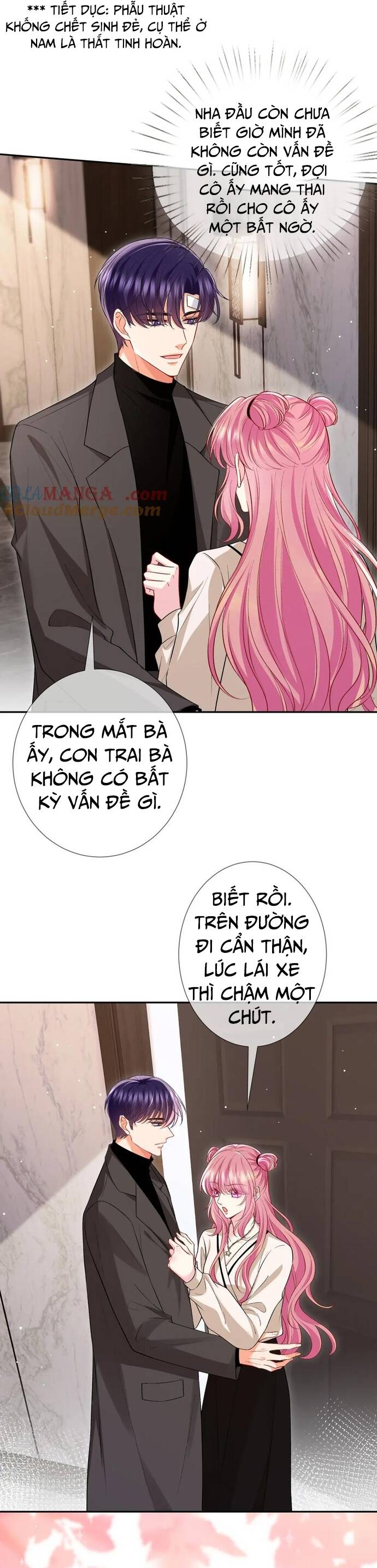 Danh Môn Chí Ái - Chapter 504 - Page 17