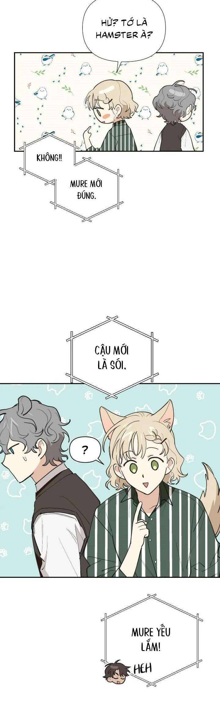 Điều Ước Sao Băng - Chapter 23 - Page 20