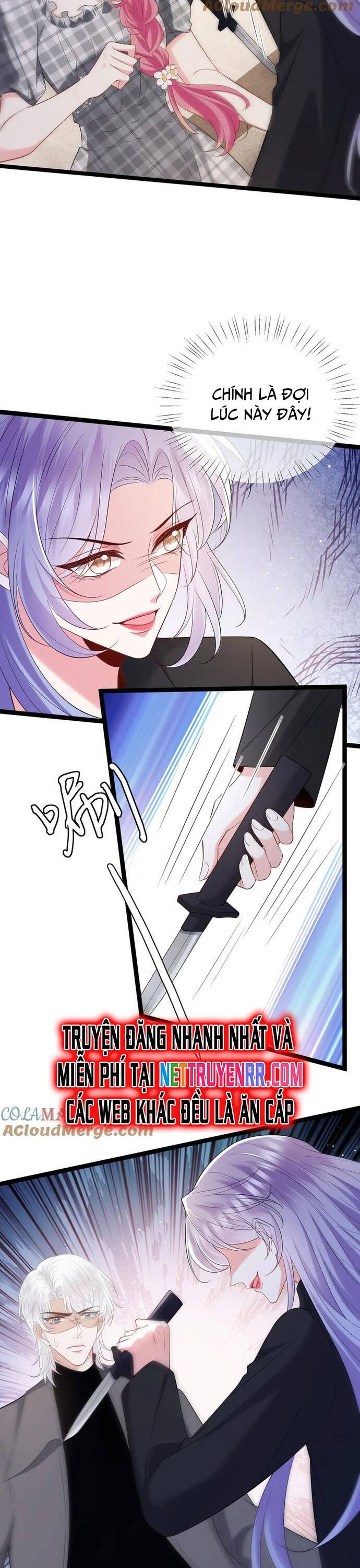 Danh Môn Chí Ái - Chapter 509 - Page 9