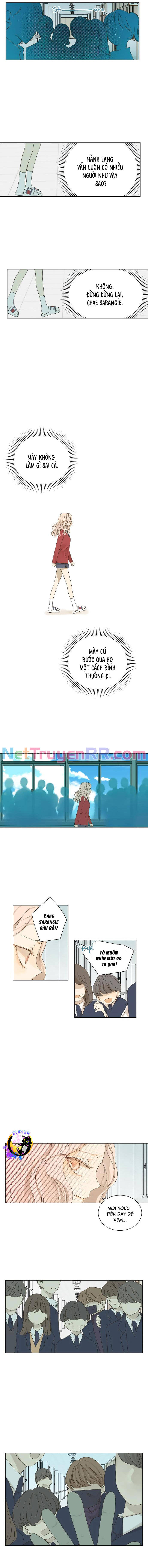 Cô Nàng Sắc Sảo Chapter 26 - Trang 8