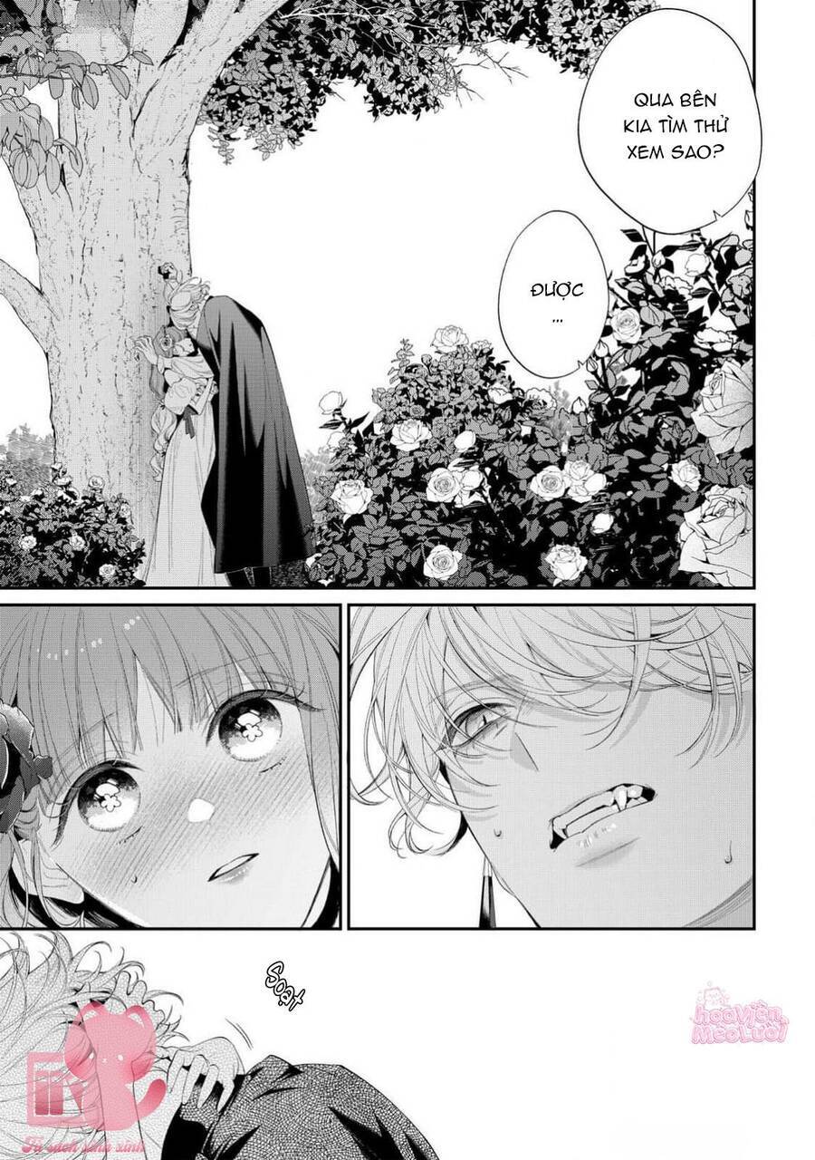 Hoa Hồng Ẩn Giấu Sao Băng - Chapter 14 - Page 12