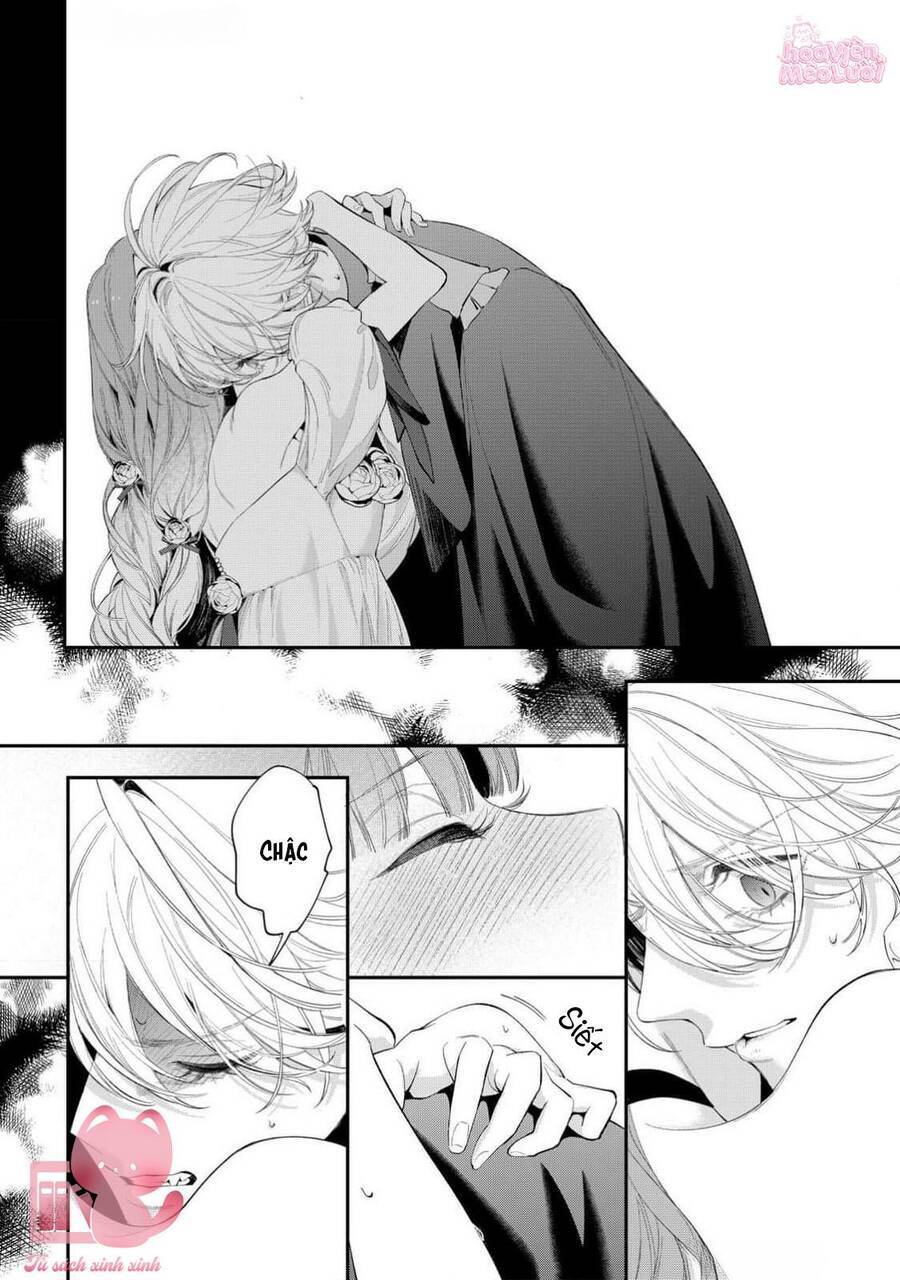 Hoa Hồng Ẩn Giấu Sao Băng - Chapter 14 - Page 13