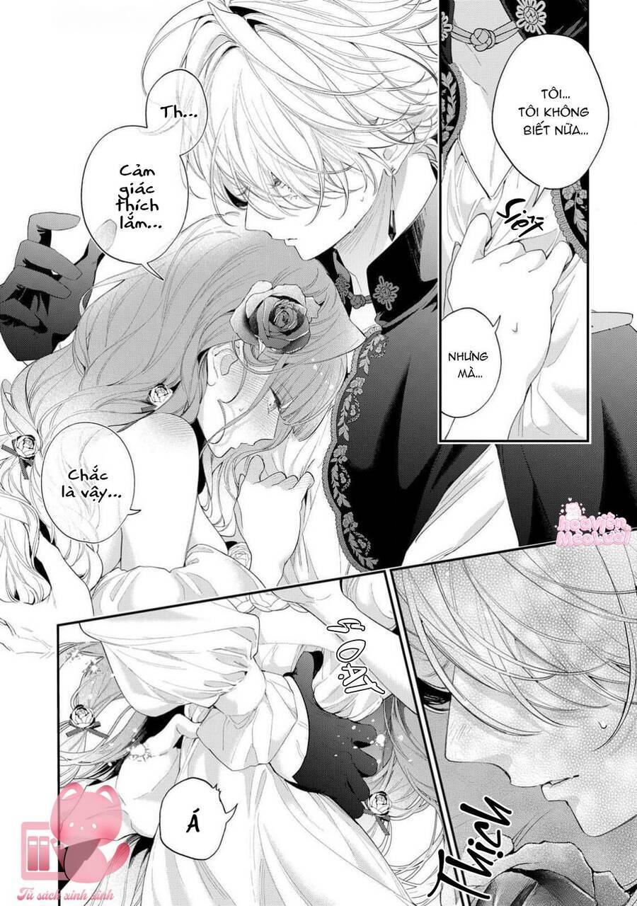Hoa Hồng Ẩn Giấu Sao Băng - Chapter 14 - Page 17