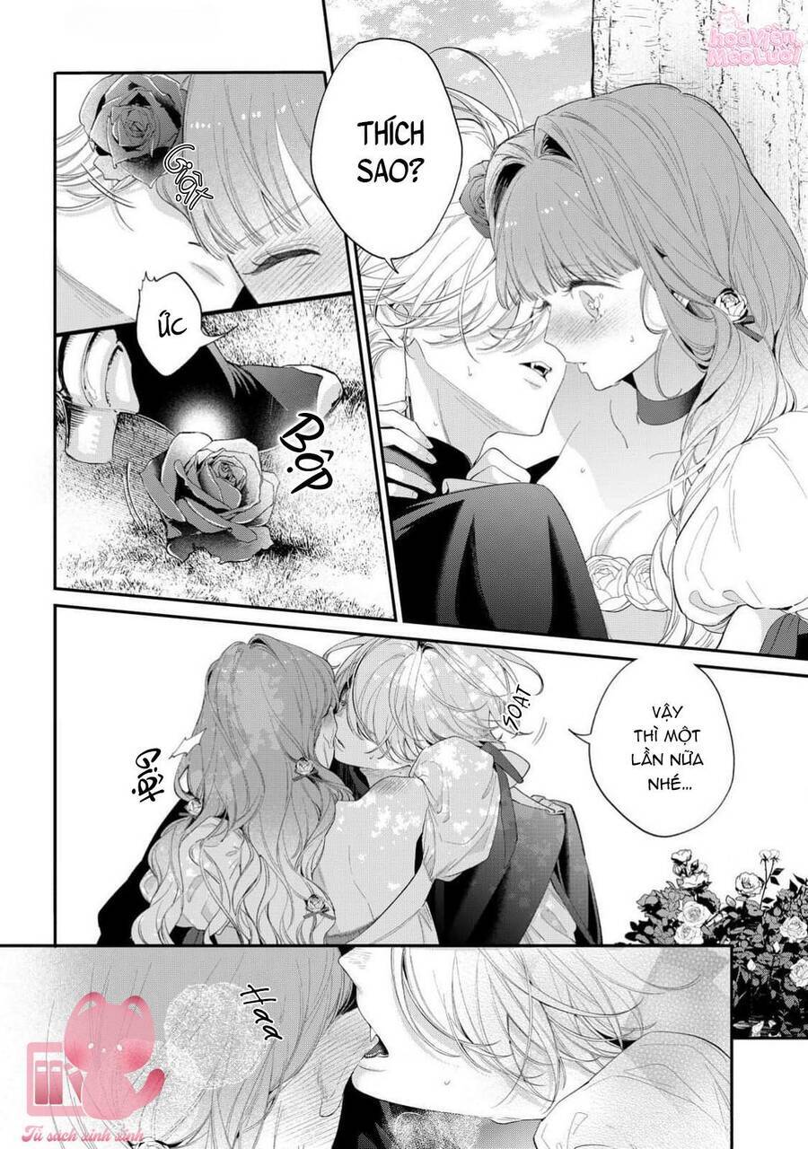 Hoa Hồng Ẩn Giấu Sao Băng - Chapter 14 - Page 19