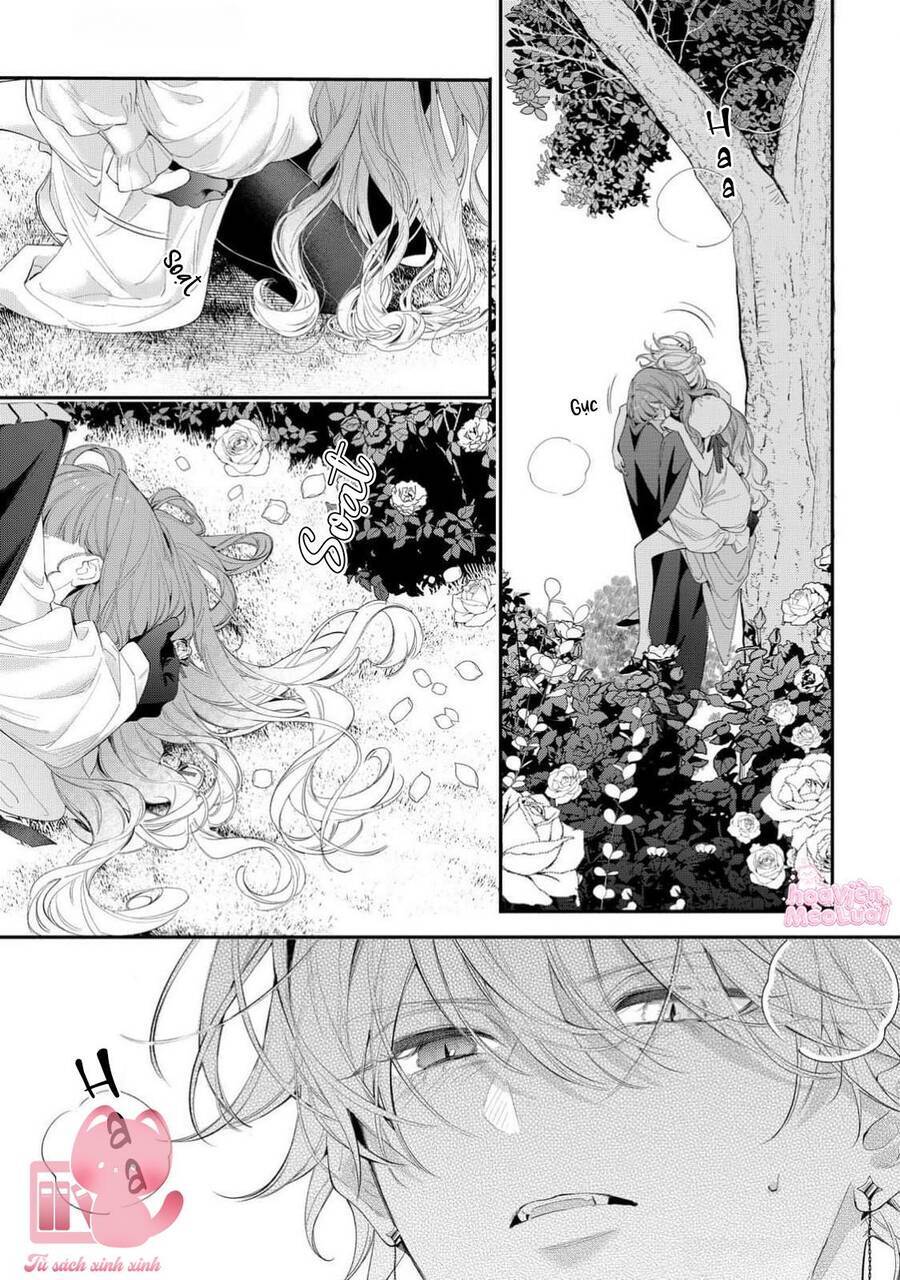 Hoa Hồng Ẩn Giấu Sao Băng - Chapter 14 - Page 22
