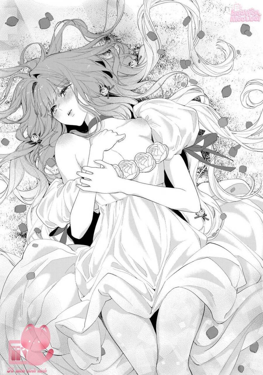 Hoa Hồng Ẩn Giấu Sao Băng - Chapter 14 - Page 23