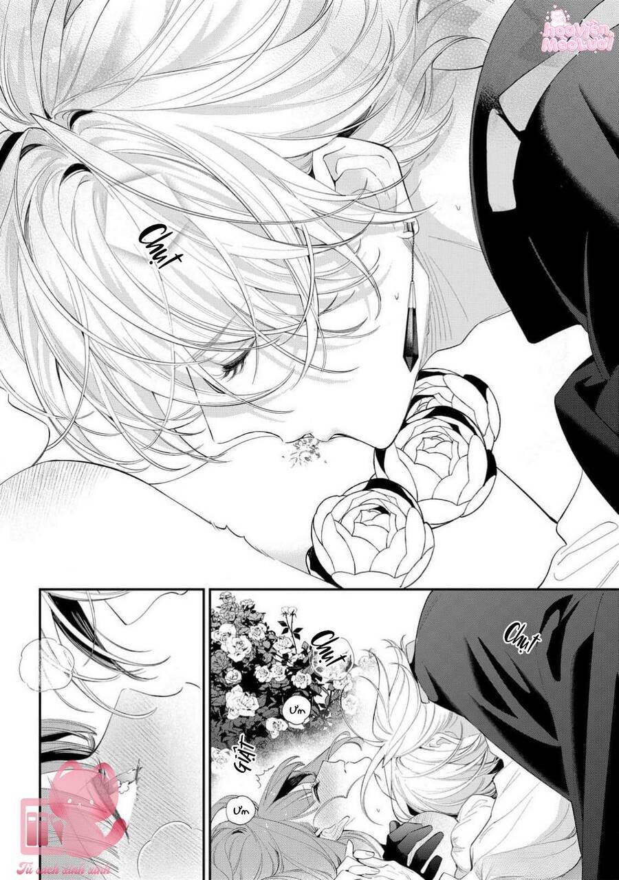 Hoa Hồng Ẩn Giấu Sao Băng - Chapter 14 - Page 27