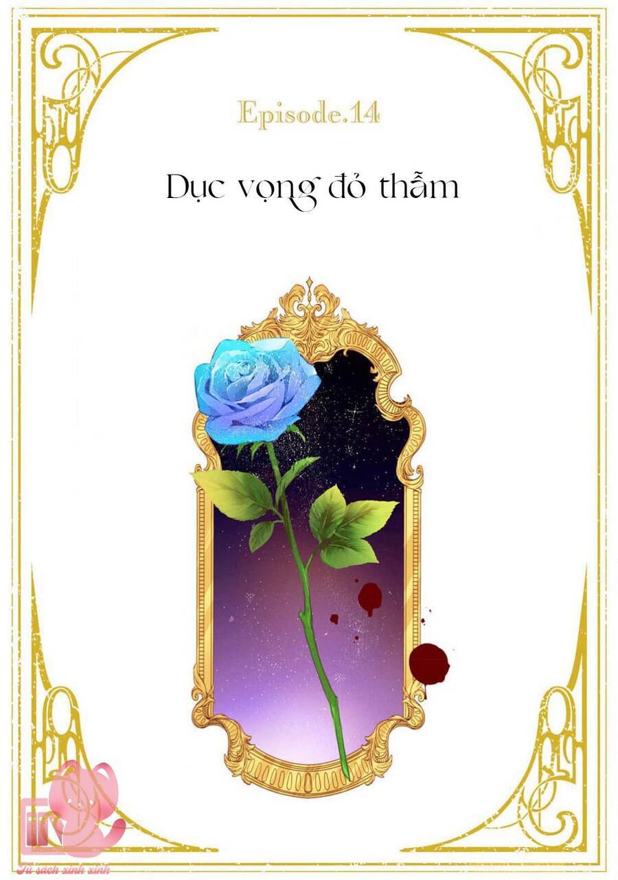 Hoa Hồng Ẩn Giấu Sao Băng - Chapter 14 - Page 3