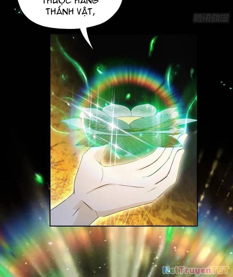 Hoá Ra Ta Đã Vô Địch Từ Lâu - Chapter 244 - Page 35